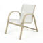 Windward Outdoor Anna Maria Arm Chair-184825915