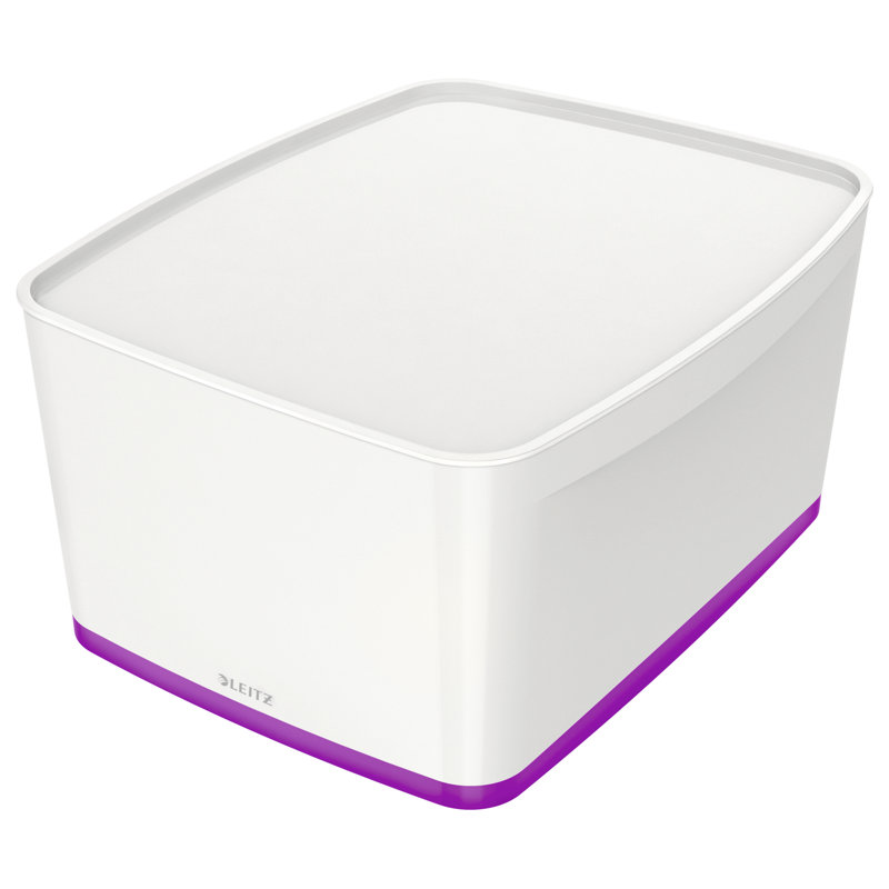 Leitz Plastic Decorative Bin, 31.8cm H x 19.8cm W x 38.5cm D, 18L, White/Green
