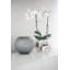 Moon Handmade Glass Table Vase-52454652-52509101
