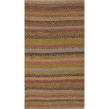 Striped Area Rug in Brown