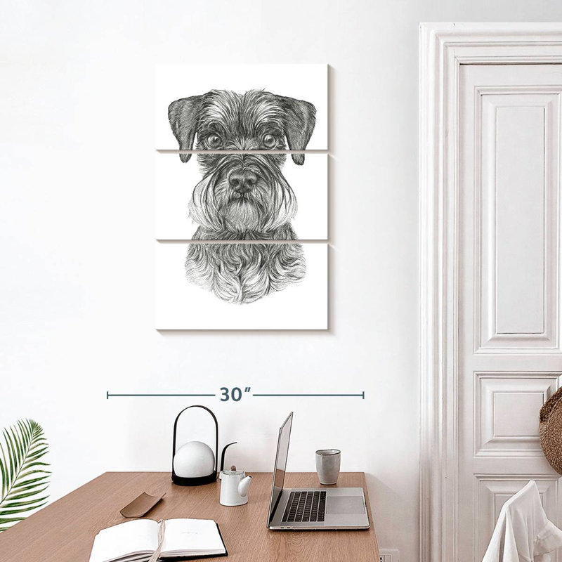 Schnauzer, H 32 po x l 20 po
