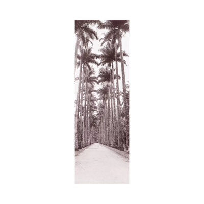 Garden Path, Rio De Janeiro, Brazil 1 Piece Wrapped Canvas Panoramic Wall Art