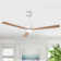 52" 3 - Blade Ceiling Fan With LED Lights And Remote Control