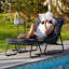 Outdoor Armless Lounge Chair with Ottoman-1772425563