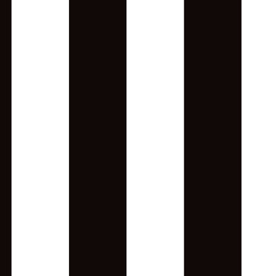 Canopy Stripe Black And White OGA Sample