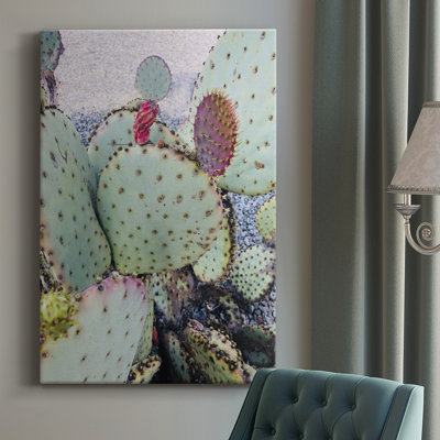 Cactus rose vert II - photographie sur toile tendue