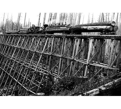 " Bridge Of Trees " by Darius Kinsey
