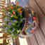 Customer photo 2 of 2