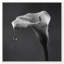 Midnight Rain Print by Oliver Gal-1238112450-1238112459