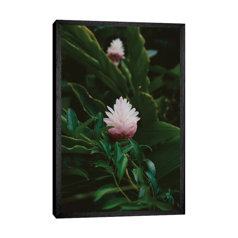 Tropical Hawaii IX by Bethany Young - Print on Canvas, 101.6cm H x 66.04cm W x 3.81cm D, Black Framed