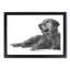 Golden Retriever - Single Picture Frame Print on MDF-56632470-56632471