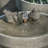 Chrisalyn Hand Crafted Weather Resistant Birdbath Fountain-1722944543