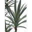 6' Artificial Yucca Tree