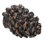 Lodge pinecone knob in finish Antique Brass