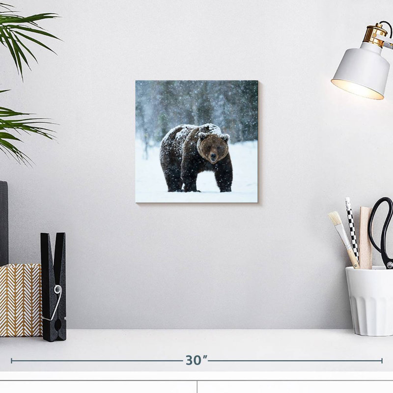 Crowle Winter Brown Bear, 10" H x 10" W