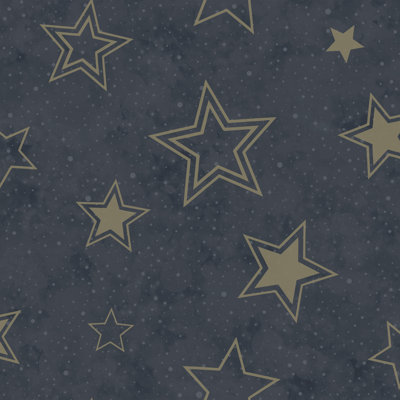 10.05m x 53cm Matte Wallpaper Roll