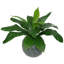 60cm Faux Fern Plant in Pot Liner-1560364592