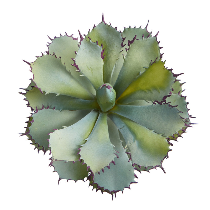 Plante grasse artificielle en pot 11 po