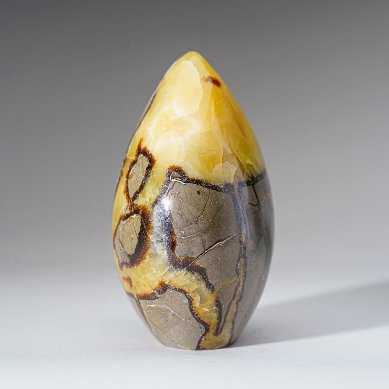 Polished Septarian Freeform From Madagascar (2.6 Lbs)