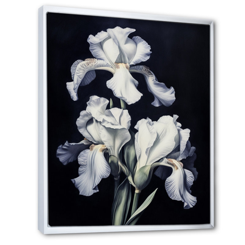 Pétale d'iris gris et blanc, Cadre flottant blanc, H 40 po x l 30 po x P 1,5 po