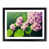 Black Framed selected