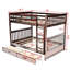 Lit Felske par Harriet Bee-535089851-472643875