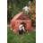 Pacific Play Tents 40'' W x 50'' D Indoor / Outdoor Polyester Play Tent