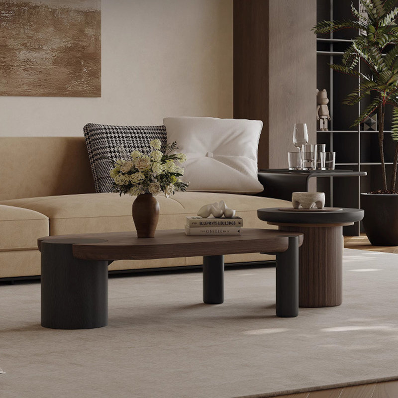 Modern minimalist oval coffee table set