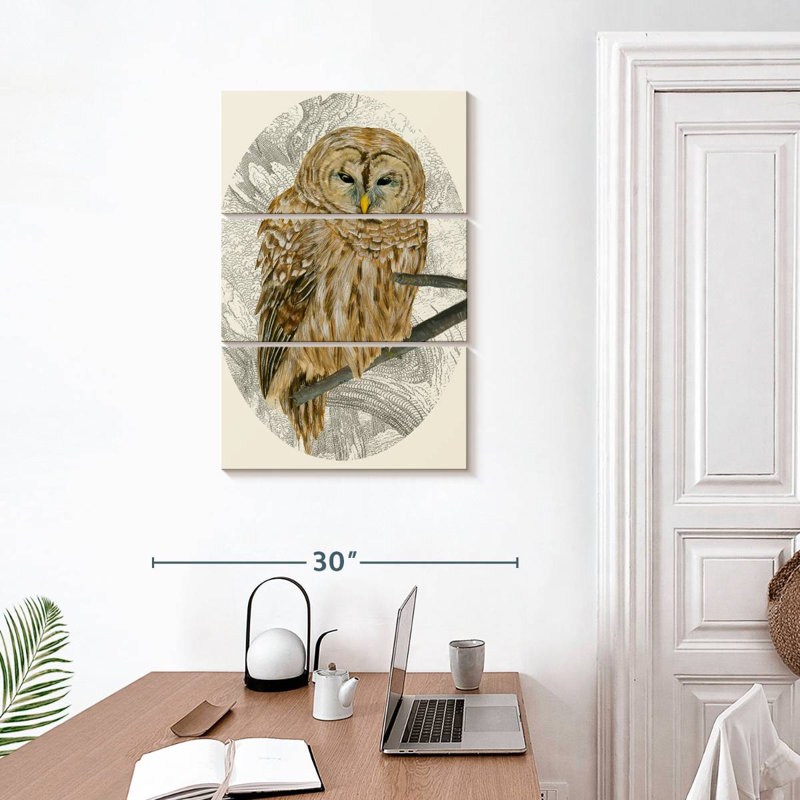 Brampt Barred Owl I, 32" H x 20" W