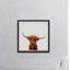 « the orange buffalo »-impression d’art graphique sur papier encadrée-2100216196