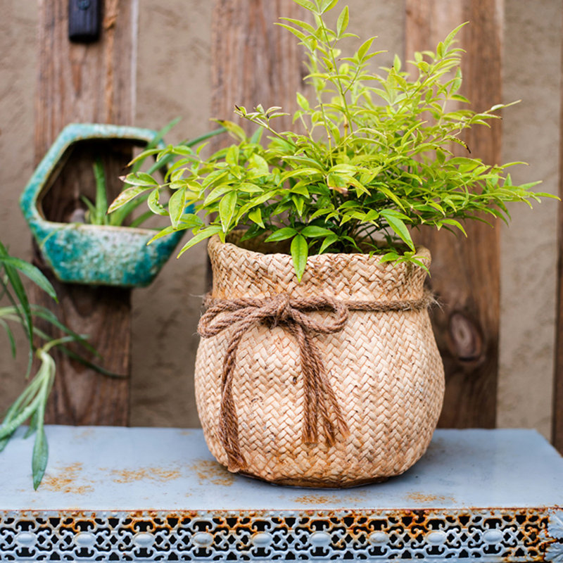 Pot à fleurs en béton Claxten, H 11,02 po x l 11,02 po x P 8,6 po