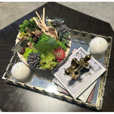 Design succulent sur un vase circulaire en bois blanc | Plantes succulentes et petites plantes rares