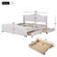 Capavella Upholstered Storage Bed-965310366