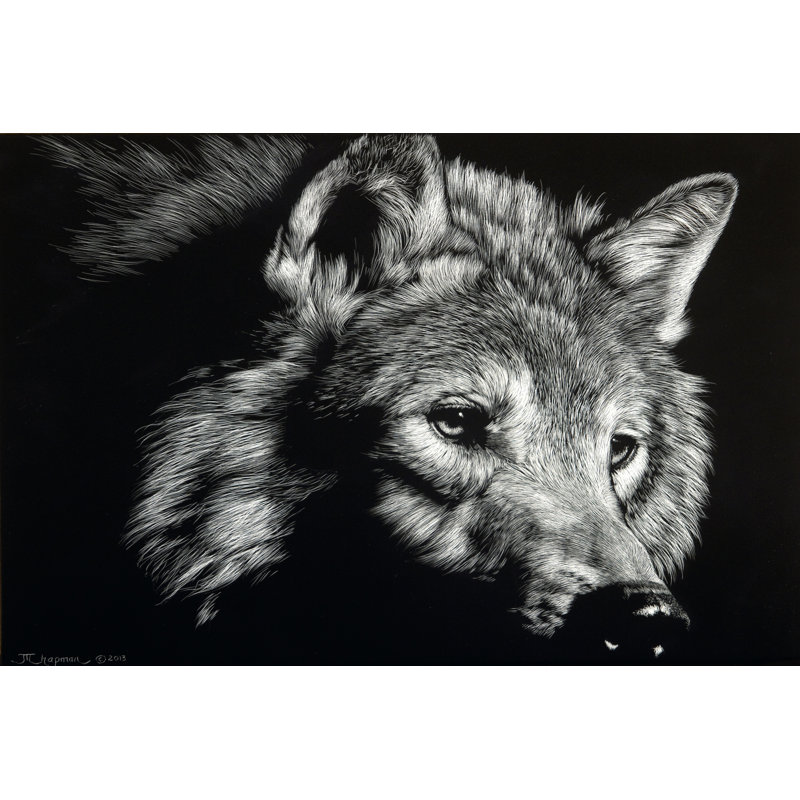 Wild Eyes by Julie T. Chapman - Wrapped Canvas Art Prints, 51cm H x 76cm W x 3.8cm D