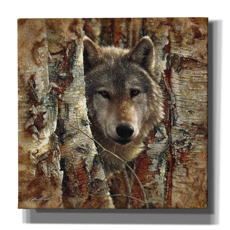 «Million Pines» «Wolf Spirit» par Collin Bogle, art mural sur toile, H 26 po x l 26 po x P 1,5 po