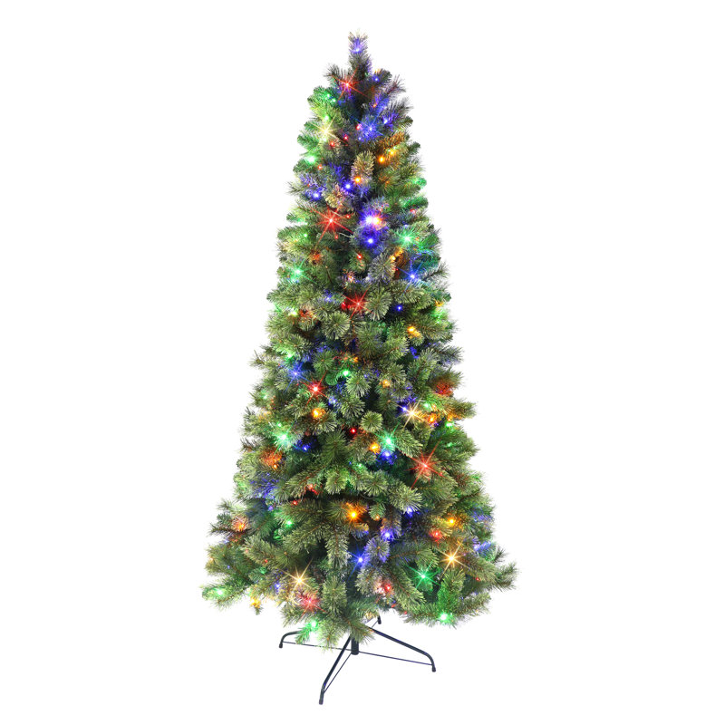 6' Lighted Pine Christmas Tree