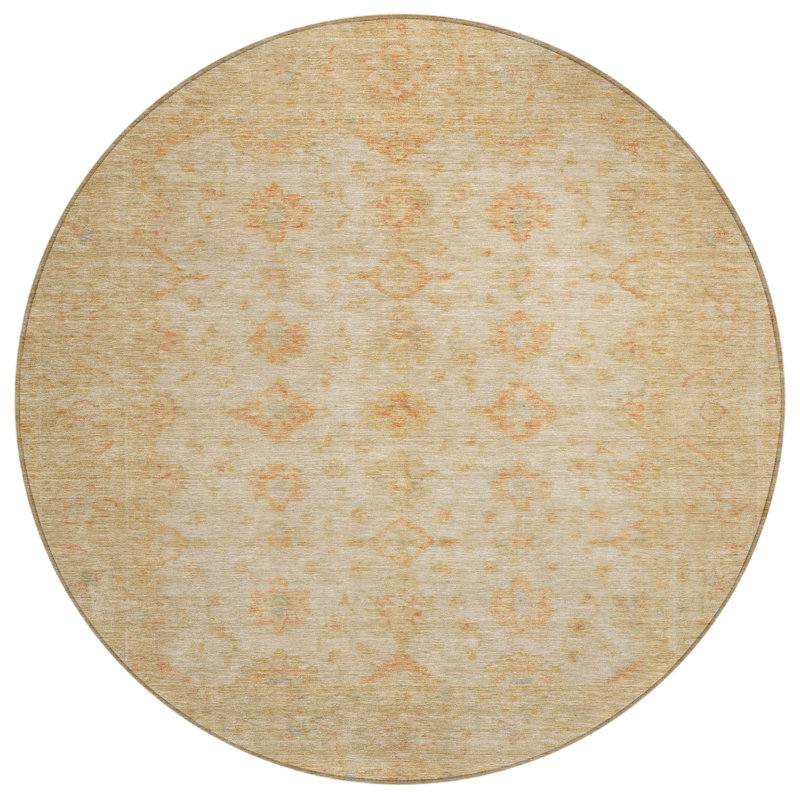 Tapis intérieur lavable 8 pi