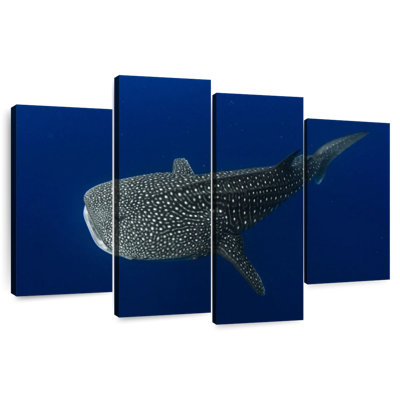 Brampt Whale Shark In Deep Blue Water