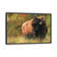 « bison i », impression sur toile-72408470-72408471-72408472