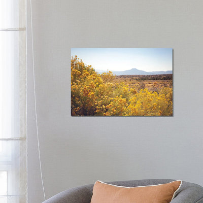 New Mexico Gold by Ann Hudec - Wrapped Canvas Print