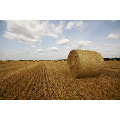 Haystack by Bercello - Wrapped Canvas Print