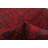 Devaughn Red Rug 4'2" x 6'5"