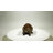 American Beaver Cub Statue