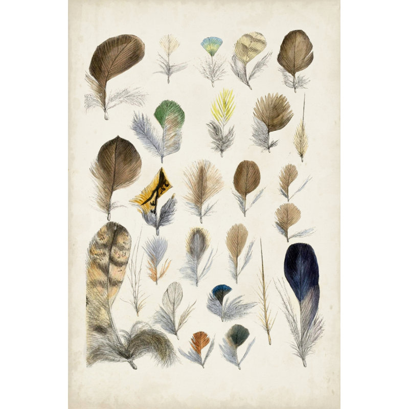 Plumes d'oiseaux antiques II - peinture sur toile tendue, H 30 po x l 20 po