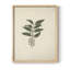 Imprimé floral rétro CLxxiv - impression encadrée-1113309476-1113309477