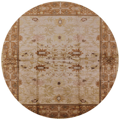 Chrissy Oriental Indoor Rug