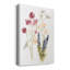 «Lobelia Garden II», reproduction sur toile tendue-1612504869