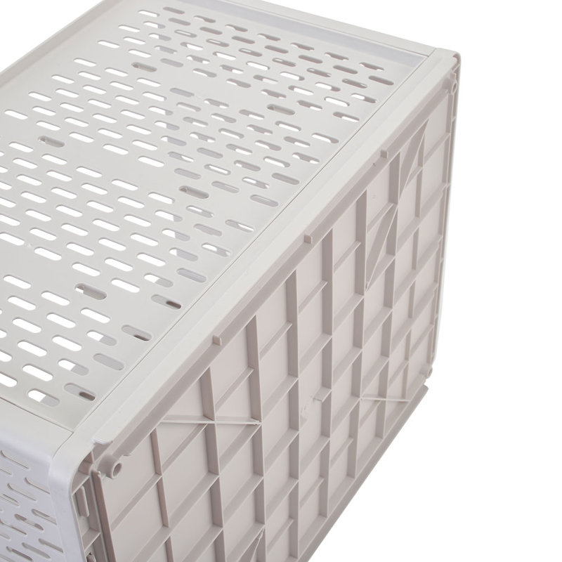 Rebrilliant Arusha Plastic Decorative Basket