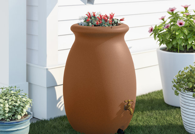 Budget-Friendly Rain Barrels