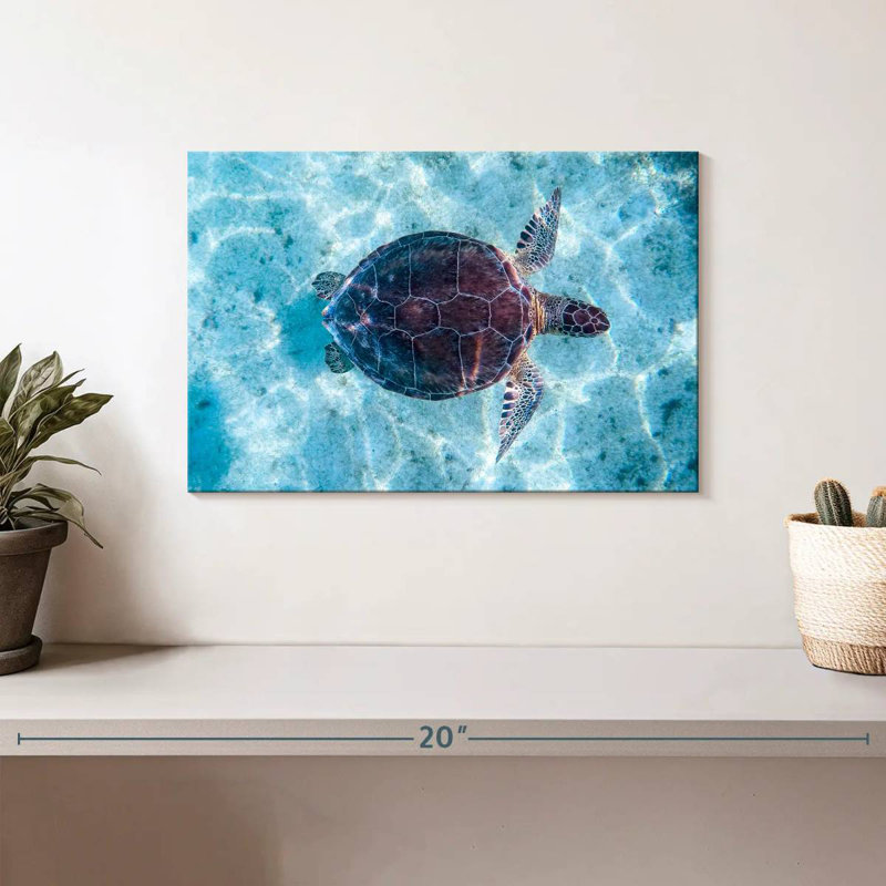 Brampt Turtle Swimming, 8" H x 12" W